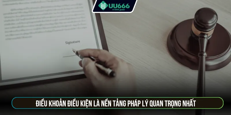 Điều khoản điều kiện là nền tảng pháp lý quan trọng nhất